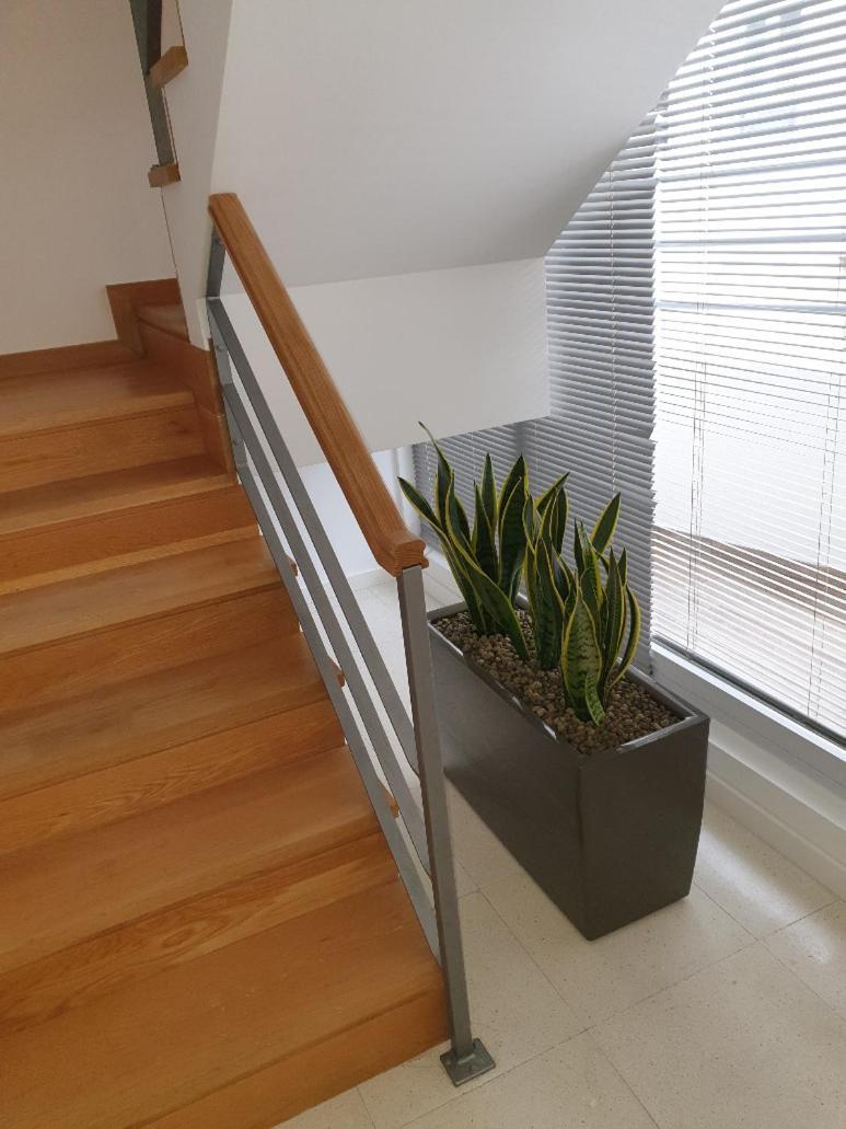 Altavista Penthouse T2 Daire Covilhã Oda fotoğraf